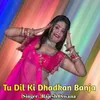 About Tu Dil Ki Dhadkan Banja Song